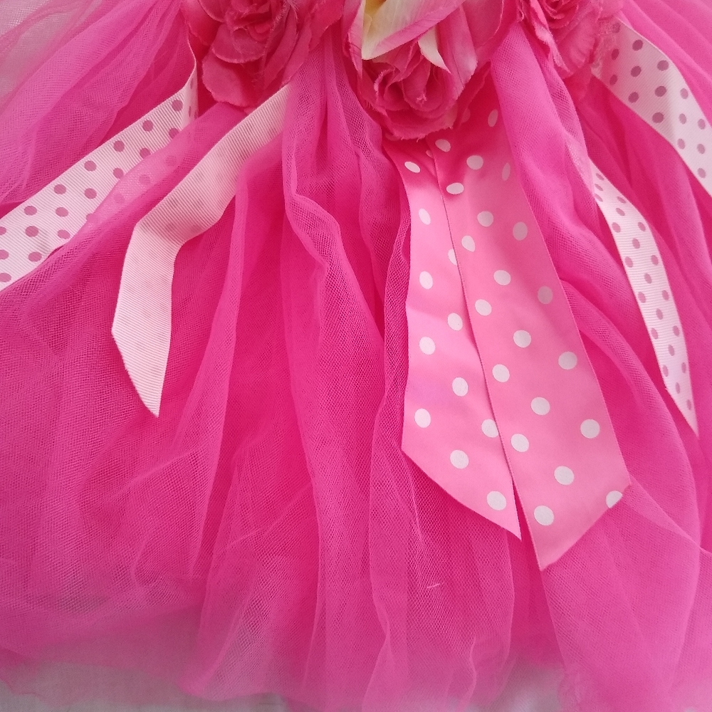 3/$15 Popatu girl's M size tutu skirt with ribbons and flowers